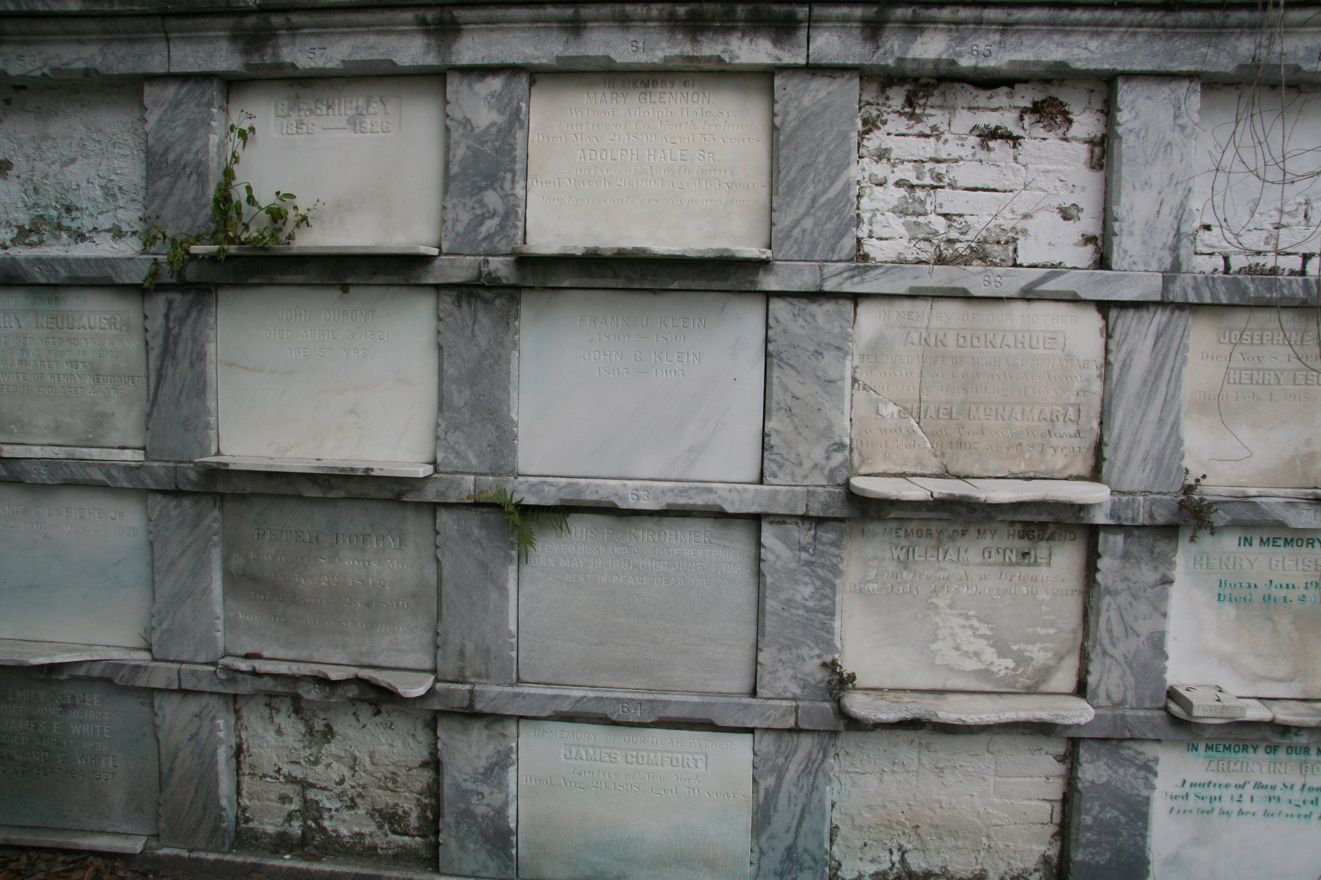 Ein steinernes Archiv der Zeit/A Stone Archive of Time